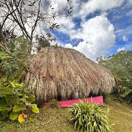 Sierra Alta Finca Boutique Villa Minca Eksteriør bilde