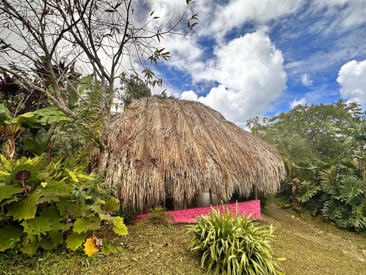 Sierra Alta Finca Boutique Villa Minca Eksteriør bilde