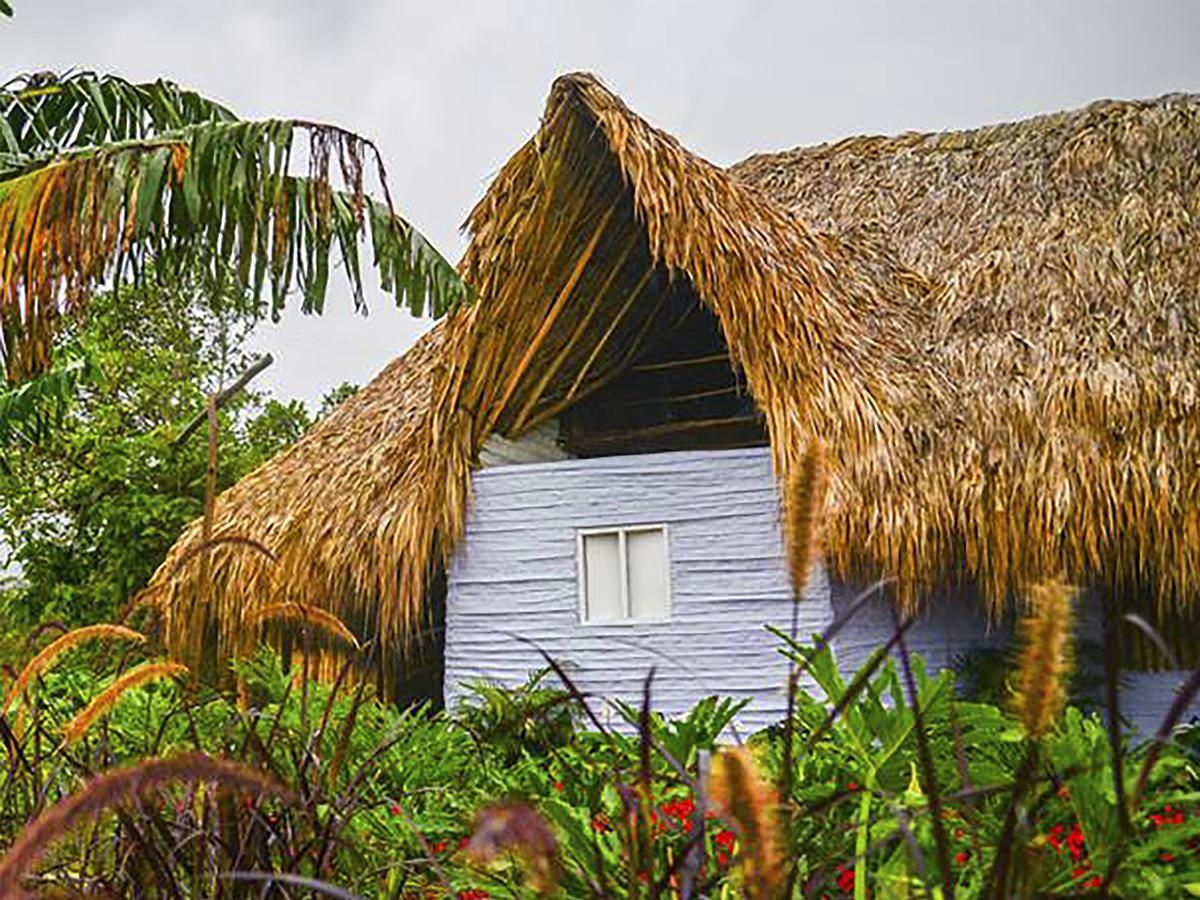 Sierra Alta Finca Boutique Villa Minca Eksteriør bilde